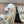 DAD SANDAL IN WHITE MIX COLORFUL FABRIC
