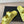 SANDALO DAD IN PELLE DI VITELLO GIALLO LIMONE