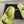 SANDALO DAD IN PELLE DI VITELLO GIALLO LIMONE