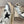 SNEAKERS FORTY2 CON TOMAIA IN VITELLO BIANCO E CAMOSCIO GRIGIO CON STELLA NERA
