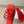 Loewe 25 Petal Anagram Slides Pelle di vacchetta rossa