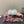 DC 25 Mary Jane White Lace And Sheepskin 381623