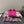DC 25 Mary Jane Pink Lace And Sheepskin 381625