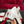 CC 26s Babies Mary Janes Toile Noire Cuir de Veau Blanc 742766
