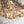 CD Colorful Floral Skirt Multicolor Cotton