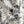 CD Sun God Shirt Beige Blue Cotton