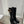 Viv High Boots Black Cowhide 365204