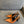POINTED-TOE SLINGBACK PUMPS IN TANGERINE ORANGE SHINY CALFSKIN