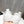 CL 25 Tutti Rui Sneaker White Cowhide 323180