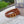 CD 2cm Icon Belt Brown Gold Calfskin 203161