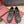 LP Katharina Sneaker Coffee Olive Green Technical Fabric Wool 521685