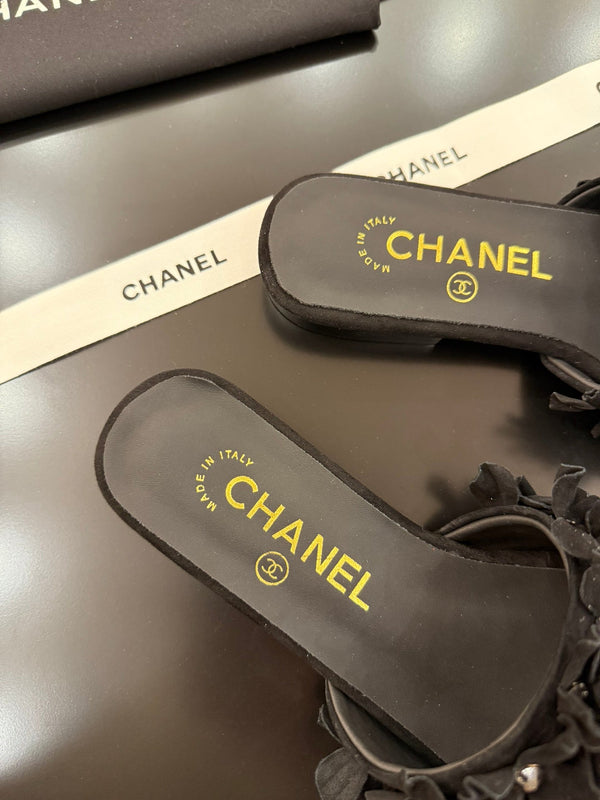 CC 25C Mules Nero Camoscio Strass