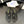 CC 25 Flower Thong Slippers Black Cowhide 233414