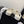 CC 25 Flower Thong Slippers White Cowhide 233415