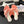 CC 25C Thong Sandal Bow Pink Velvet fabric 233567