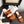 CC 25C Three Strap Mule Pumpkin Velvet fabric 233560