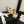 sandalo slingback cc25 ̣65mm fiocco nero grosgrain tela oro 233590