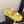 CC 25 Dad Sandal Mule Yellow Calfskin