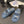 CC 25 Dad Sandal Mule Navy Blue Calfskin