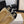 CC 25 Mule 40mm Beige Mesh Beige Sheepskin Black Grosgrain 277724