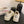 CC25 Sneaker Bianco Beige Tela 288783