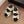 CC Toe Sandals White Mix Camellia Pattern Leather 299536