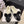 CC 26 Fur-lined Loafer With Bow Black White Wool Leather 588825
