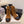 CC 26 Quilted Lace-up Boot Brown Black Suede Calfskin 588817