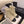 CC 26 Quilted Lace-up Boot Cream Black Suede Calfskin