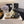 CC 26 Chaussons doublés en peau de mouton Daisy Cuir verni noir 588695