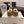 CC 26 Shearling Loafer Tan White Suede Wool 588712