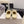 CC 26 Shearling Slip-on Loafer Beige White Suede Wool 588715