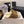 CC 26 Shearling Slip-on Loafer Tan White Suede Wool 588717