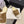 CC 26 Shearling Slip-on Loafer Tan White Suede Wool 588717