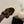 HM 26s Oasis Sandal Dark Brown Suede With Crystals