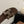 HM 26s Oran Studded Sandals In Dark Brown Calfskin