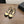 CC 26s Mary Jane Black Beige Lambskin Patent Leather 915323