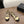 CC 26s Mary Jane Black Beige Lambskin Patent Leather 915323