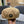BERET HAT IN CIDER BROWN CORDUROY 429845