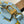 SPEEDY BANDOULIÈRE 20 IN SKY YELLOW MONOGRAM CALFSKIN GOLD BUCKLE