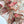 Zimmermann Robe Mini Cache-cœur Volants Daylight Coton Rose 342336