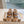 OLD SHOOL SNEAKERS IN BROWN SUEDE AND LEOPARD PRINT HAIRY CALFSKIN GOLD STAR