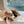OLD SHOOL SNEAKERS IN BROWN SUEDE AND LEOPARD PRINT HAIRY CALFSKIN GOLD STAR