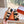 HM 25 Genius Sandal Beige Suede Black Calfskin