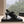 CC Sandals with bow tie Black 7cm Lambskin 202870