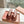 Miu Brown Croc Embossed Slide Sandals with Embellished Heel 223917