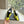 CAGOLE HIGH SLINGBACK IN YELLOW GLOSSY CALFSKIN