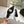 CELINE Slingbacks White Patent Leather 285940