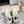 BALL STAR SNEAKERS BEIGE CALFSKIN WITH WHITE STAR