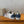 BALL STAR SNEAKERS GLITTER STAR IN BRIGHT GRAY SUEDE AND WHITE CALFSKIN